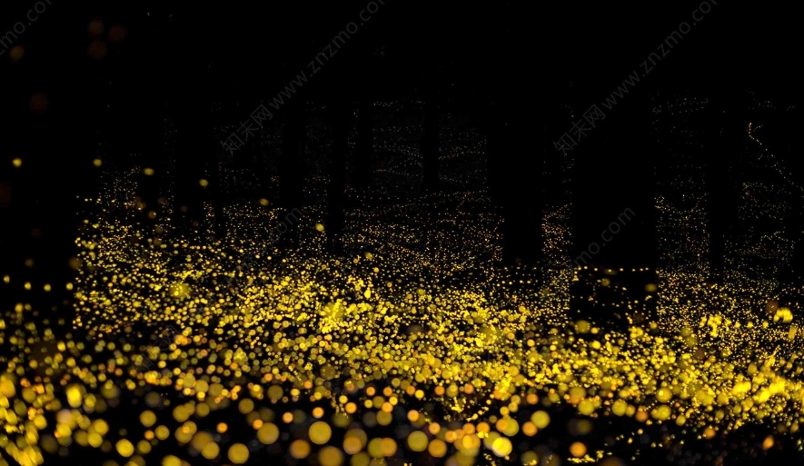 螢火蟲攝影技巧