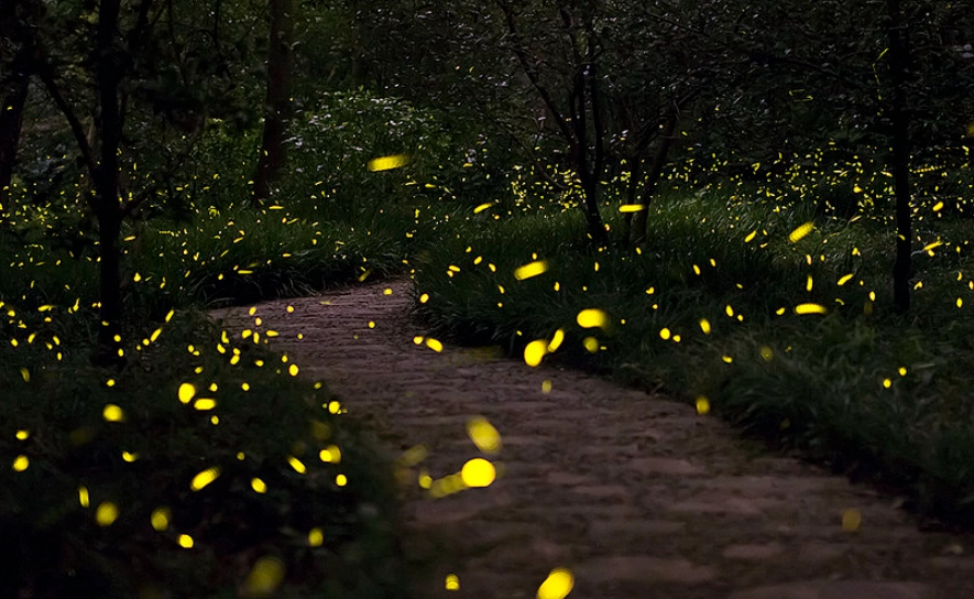 台灣休閒渡假村推薦