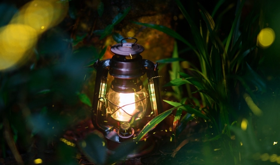 螢火蟲觀賞台灣