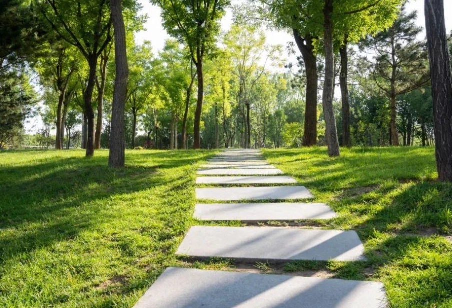 大步危觀光時長