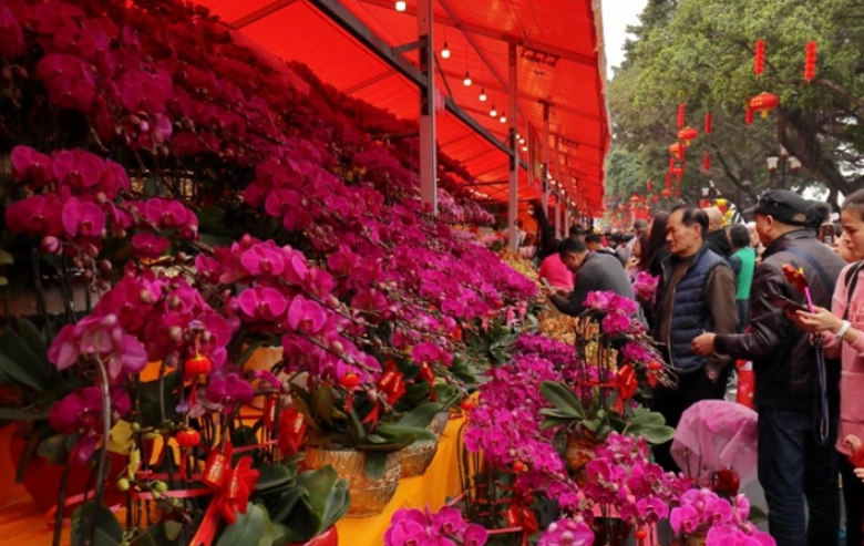 新竹假日花市交通