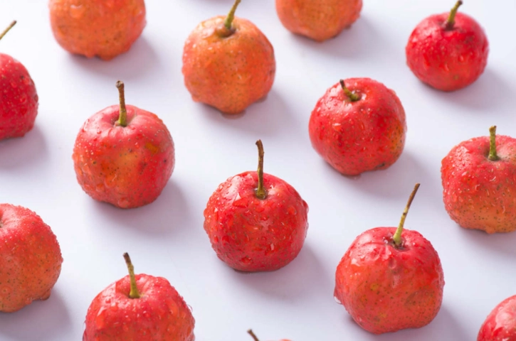 中藥消脂茶配方