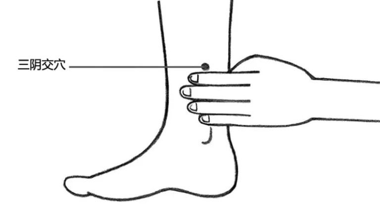 三陰交穴