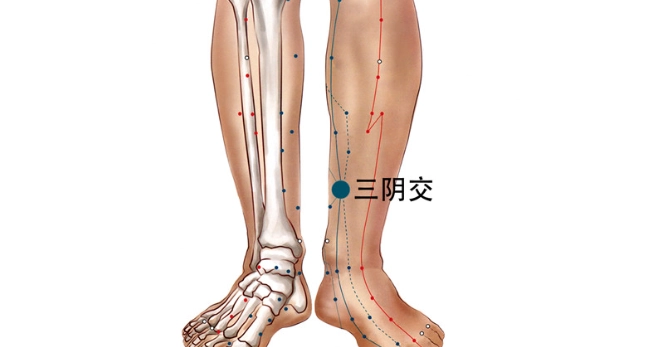 三陰交穴位置