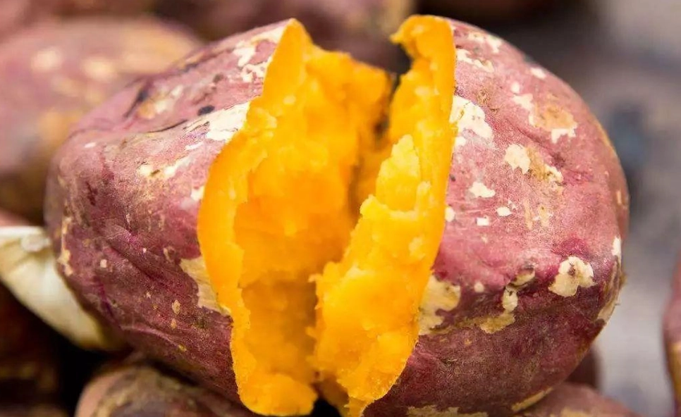 胃脹氣想吐治療