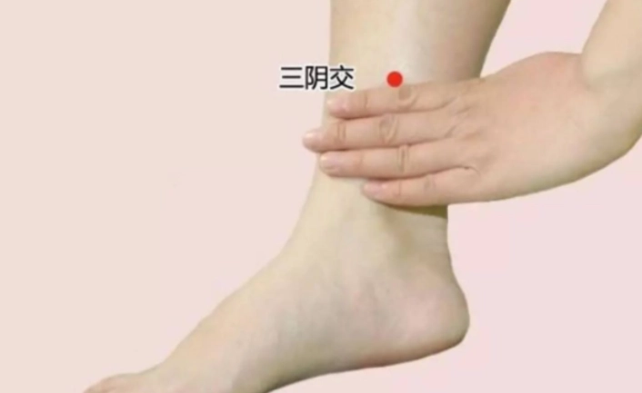 三陰交穴功效
