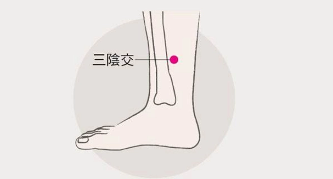 三陰交穴位置