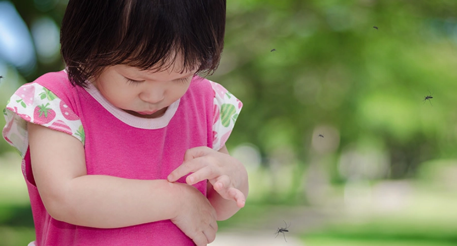 蚊子咬消腫方法