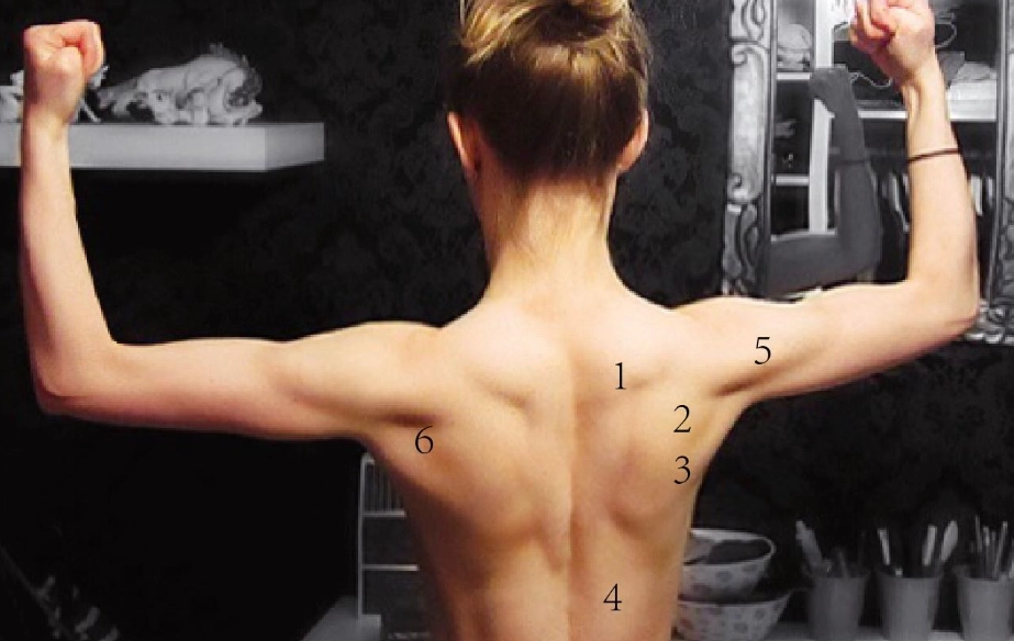 背肌訓練徒手女：居家高效訓練全攻略與常見問題解答