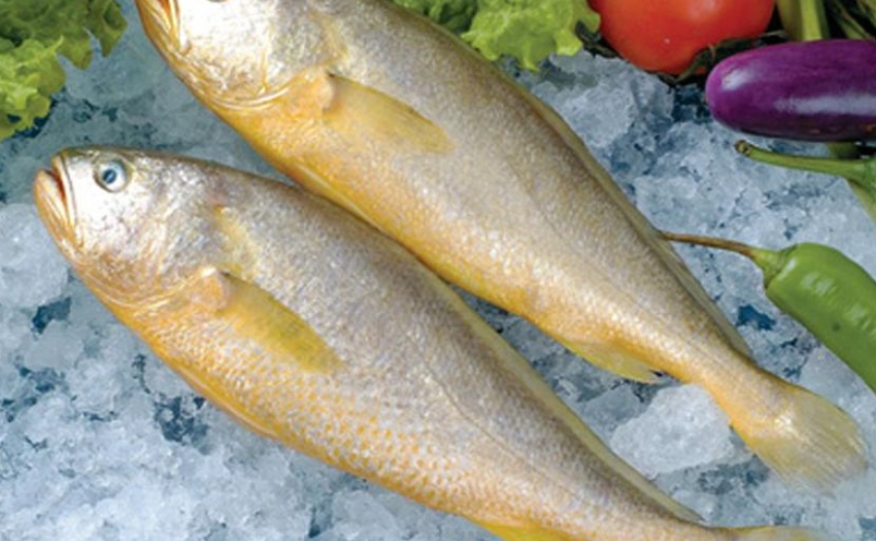魚類保鮮技巧 魚類保鮮技巧