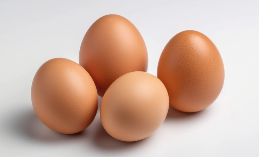 食品危險溫度帶 食品危險溫度帶