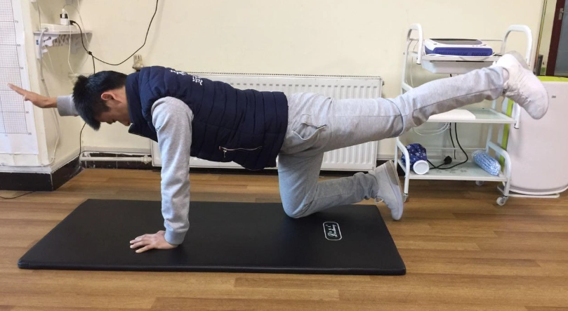 膝蓋友好運動 膝蓋友好運動