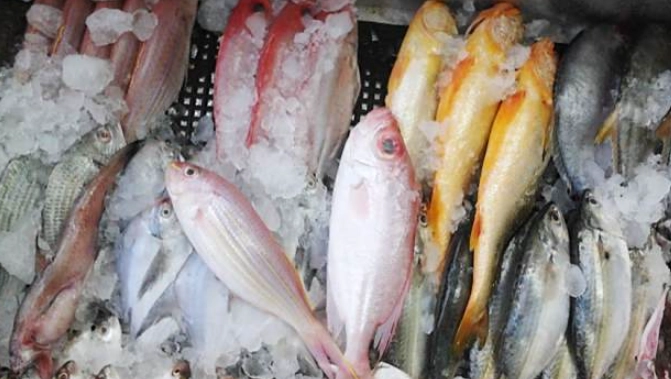 冷凍魚處理技巧 冷凍魚處理技巧