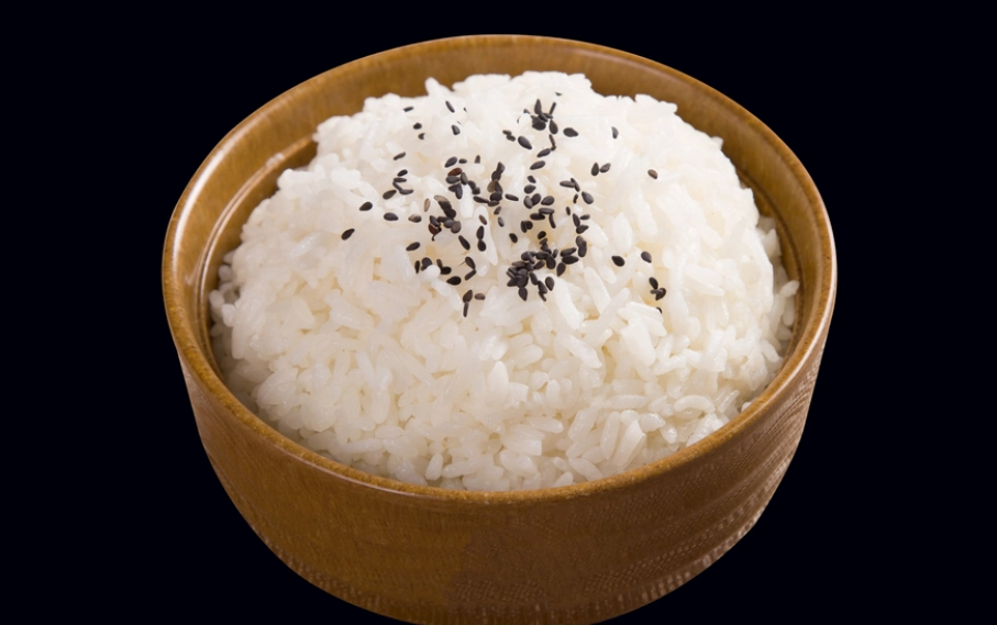 剩飯冷藏 剩飯冷藏