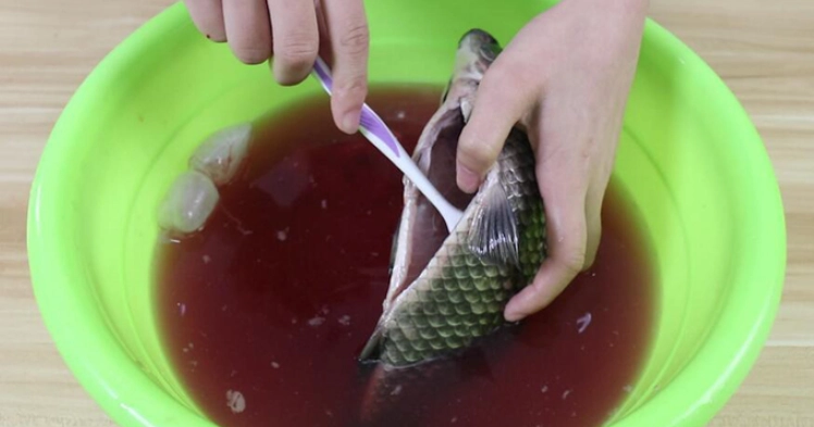 冷凍魚方法 冷凍魚方法