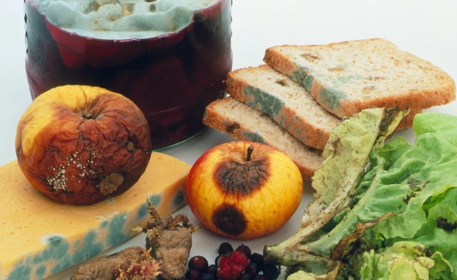 食品安全溫度 食品安全溫度