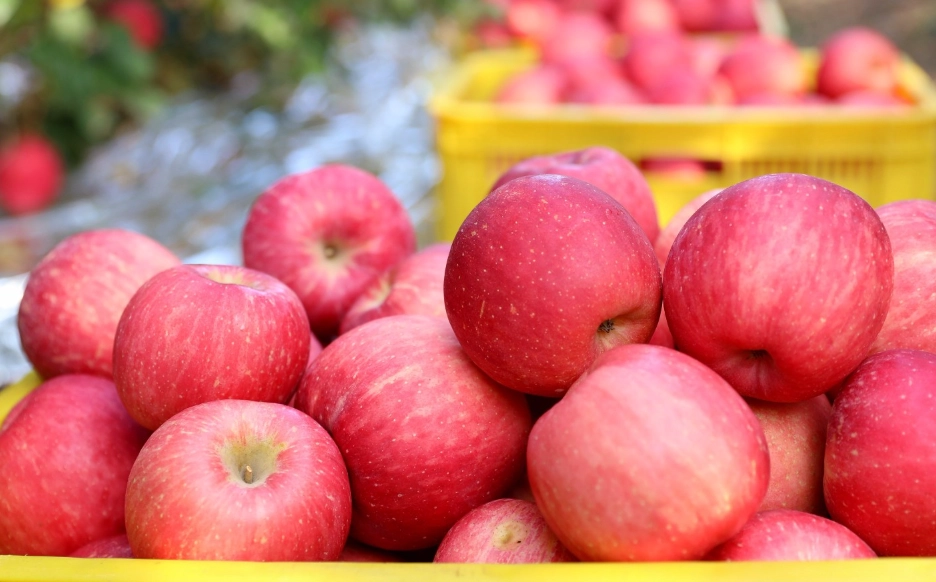 常溫保存方法 常溫保存方法