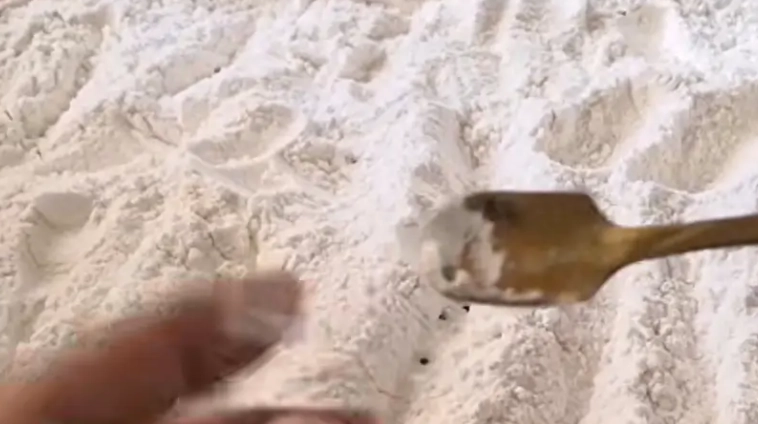 食物變質處理 食物變質處理