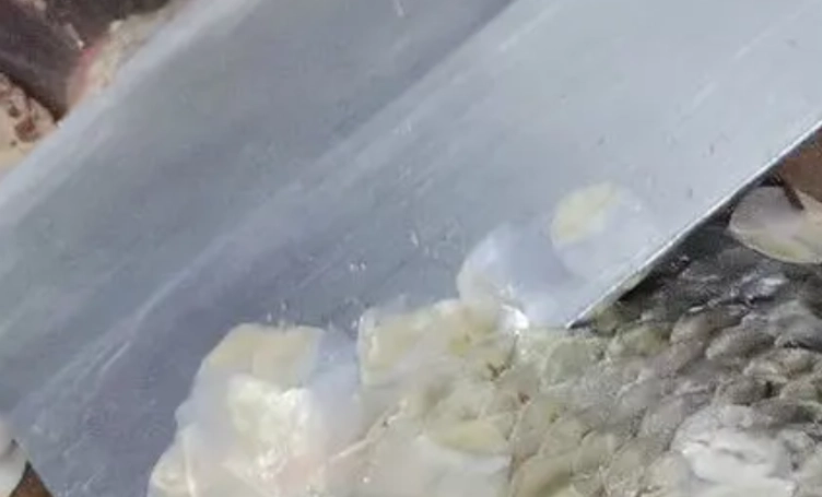 冷凍魚方法 冷凍魚方法