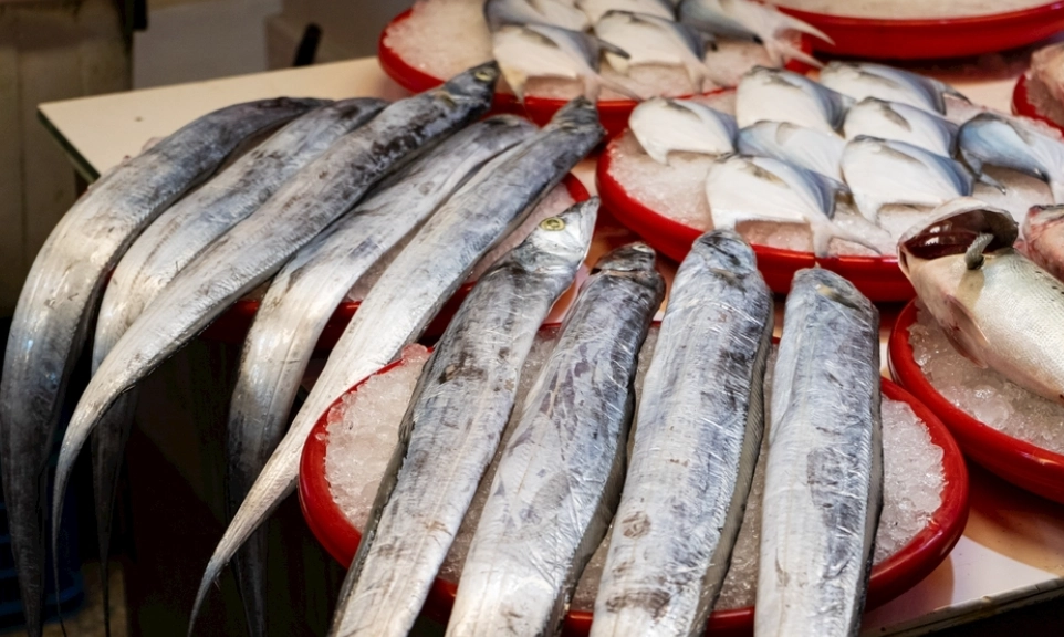 買魚要洗嗎 買魚要洗嗎