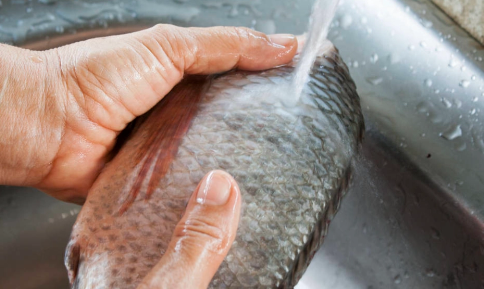 超市魚清洗方法 超市魚清洗方法