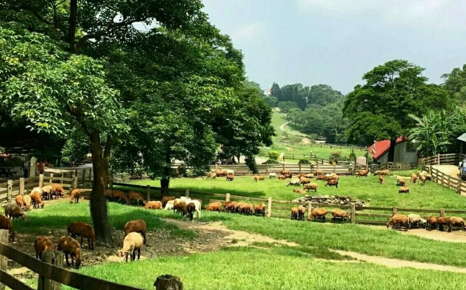 苗栗無障礙旅遊 苗栗無障礙旅遊