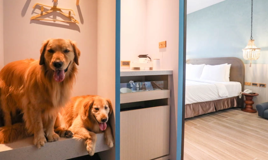 新北寵物友善民宿 新北寵物友善民宿