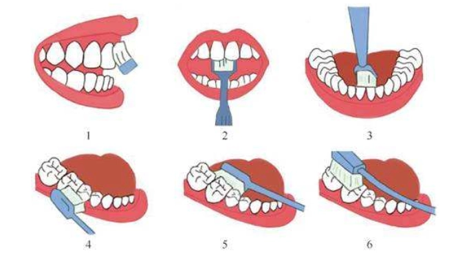 正確刷牙方法