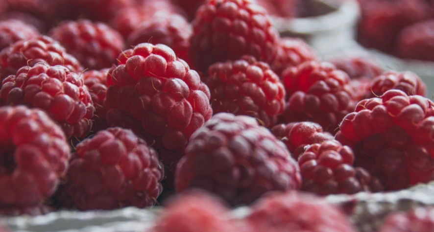 高膽固醇早餐食譜