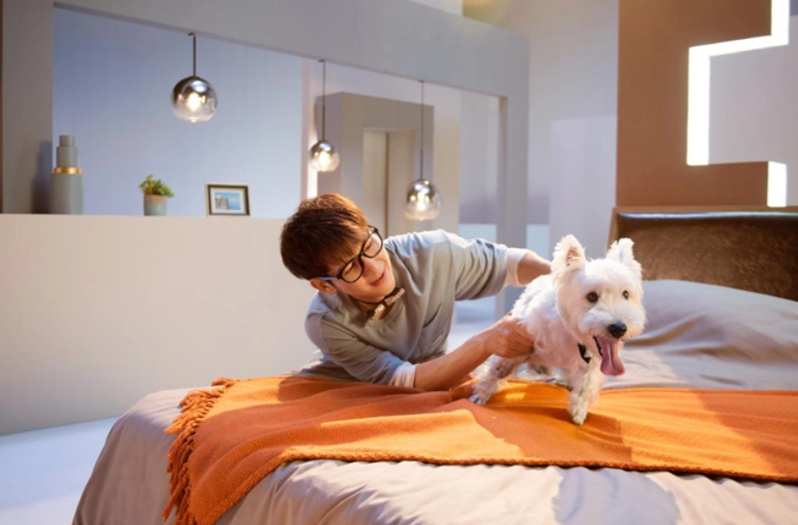 新北寵物住宿清潔費 新北寵物住宿清潔費