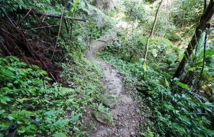 新竹親子景點 新竹親子景點