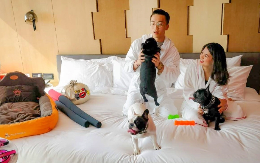 新北寵物住宿清潔費 新北寵物住宿清潔費