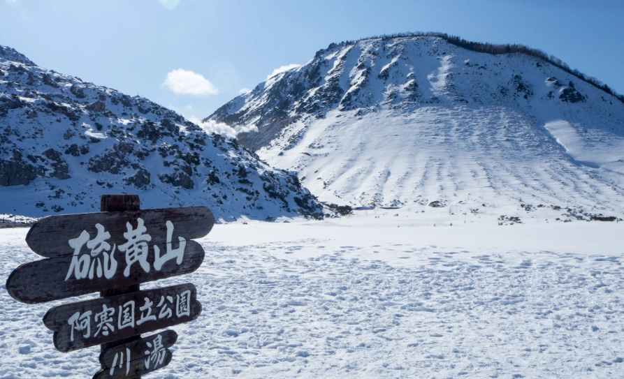 道東 夏天 景點