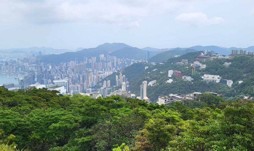 西高山南脊 交通