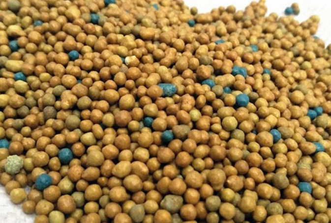 羅漢松施肥時機