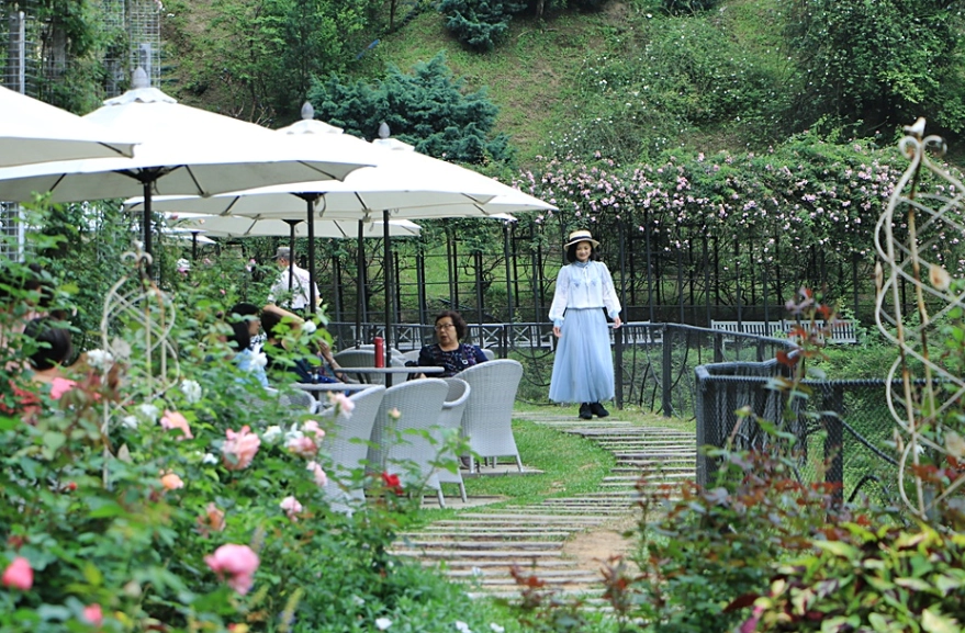 苗栗輪椅旅遊 苗栗輪椅旅遊