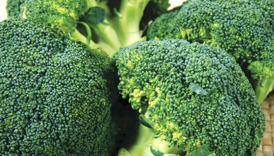 青花菜保存 青花菜保存