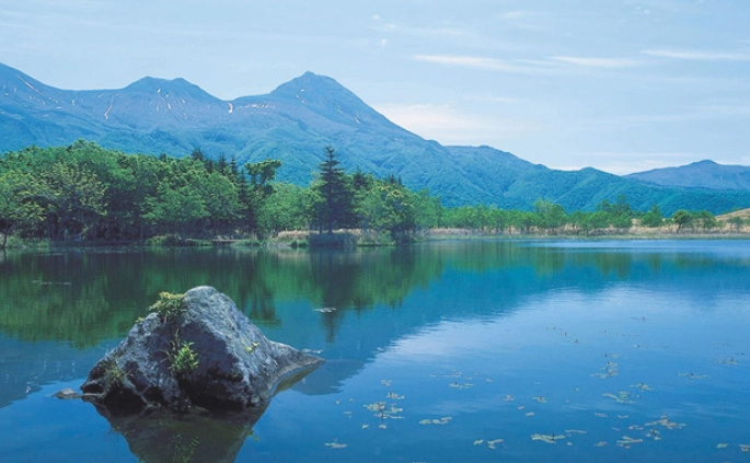 道東 夏天 景點