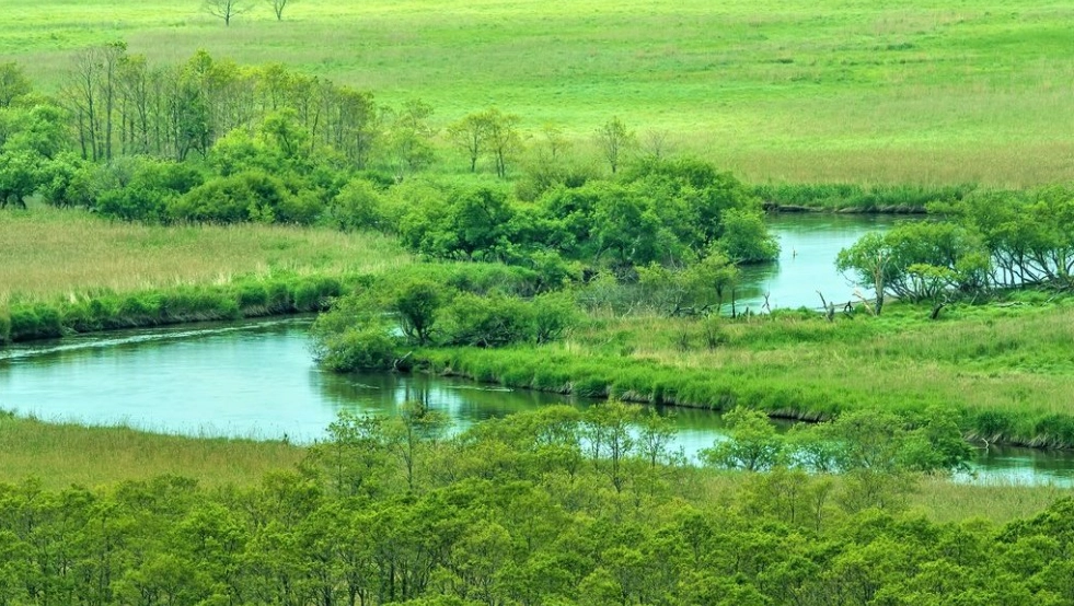 夏季 北海道 旅遊