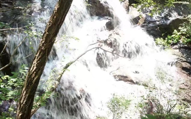 薄扶林水塘行山