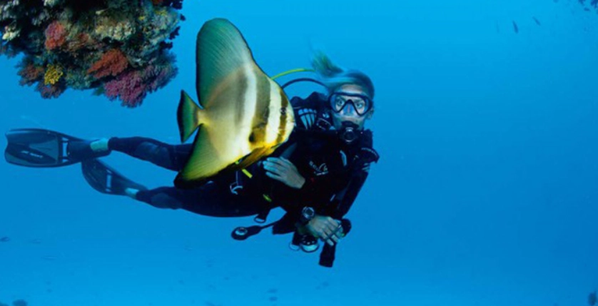 馬爾地夫潛水