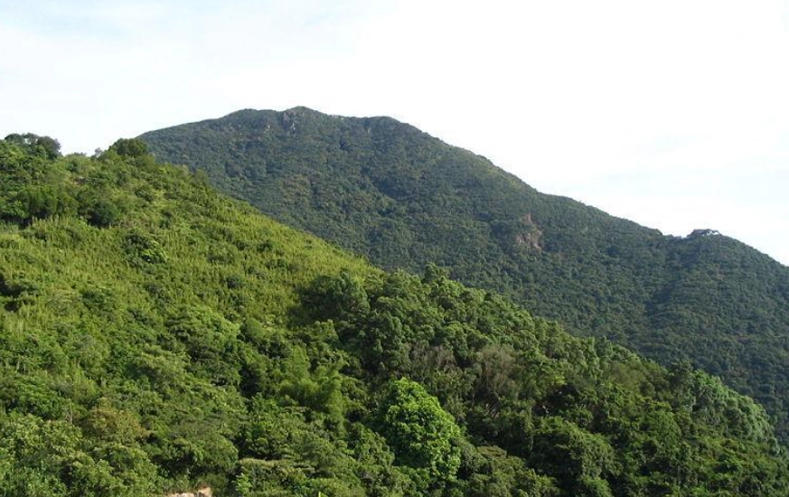 西高山南脊 交通