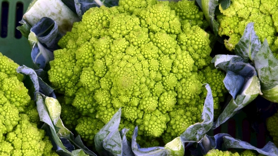 青花菜做法 青花菜做法