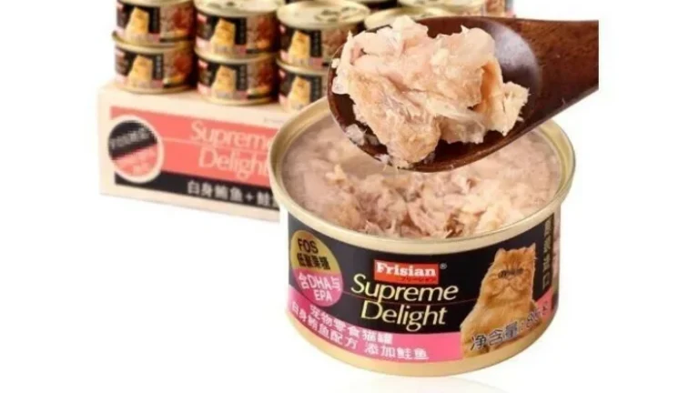 貓罐頭開封常溫