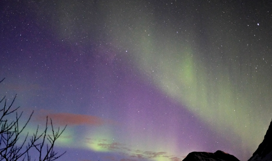 挪威極光自由行