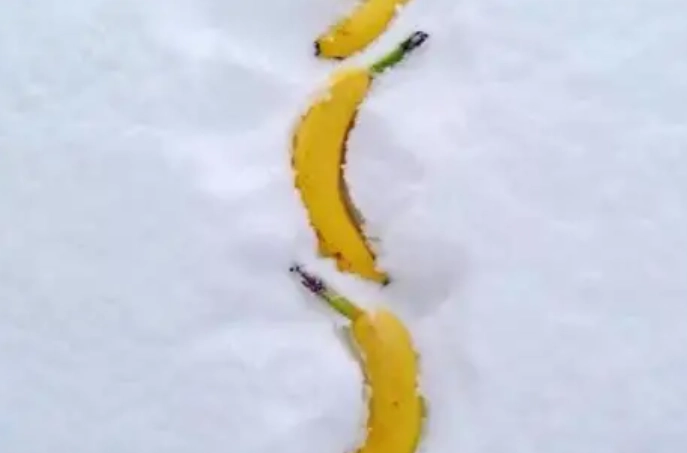 冷凍香蕉方法 冷凍香蕉方法