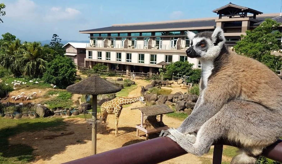 關西六福莊生態導覽 關西六福莊生態導覽