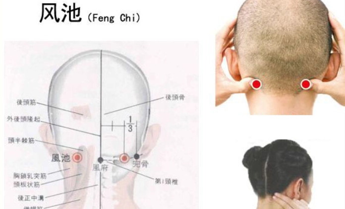 落枕按什麼穴道
