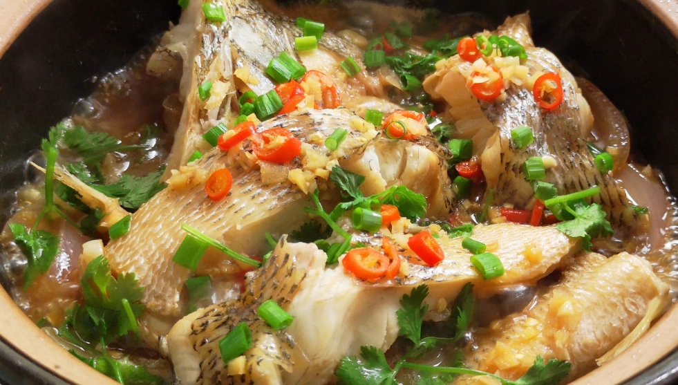 刺青護理飲食 刺青護理飲食