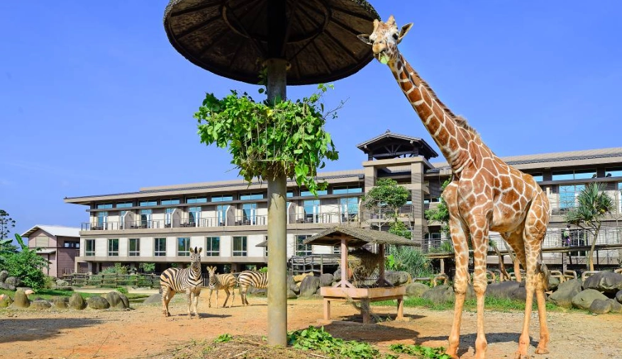 關西六福莊生態導覽 關西六福莊生態導覽